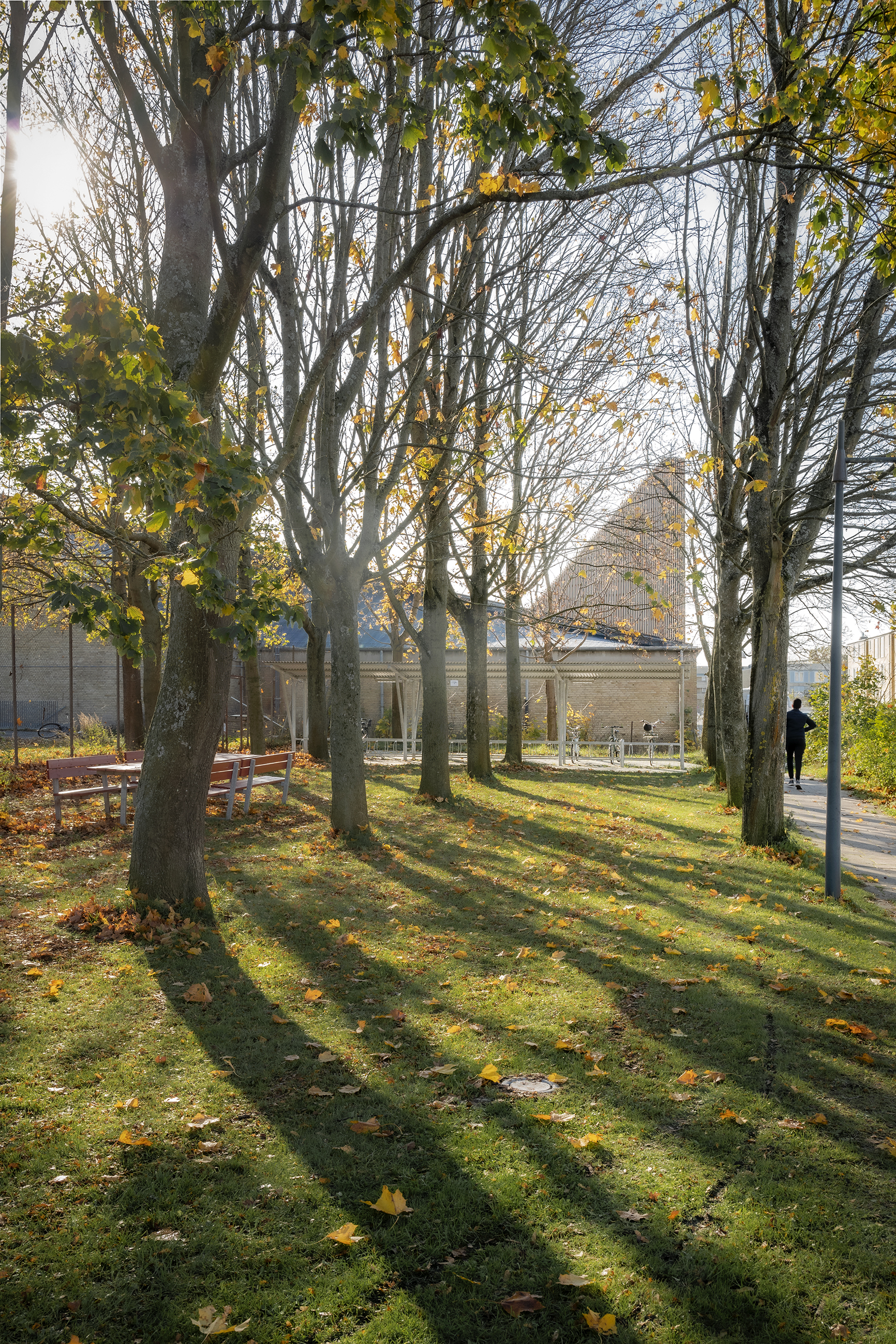 10 Jens Markus Lindhe