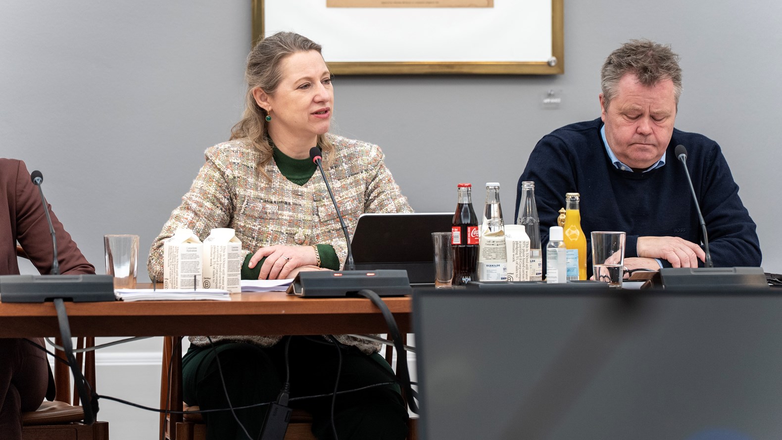 Sophie Hæstorp Samråd