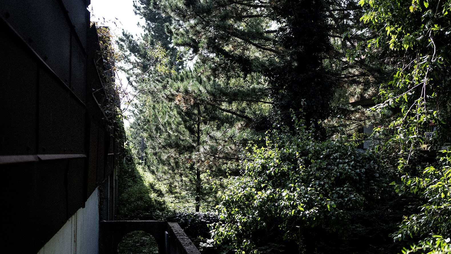 Farum Midtpunkt Anna Munk Andreas Hansen (15)