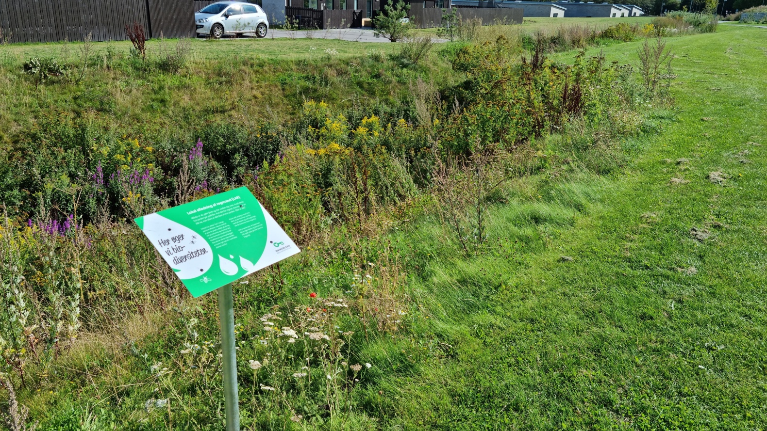 20210825 150816 Resized 2