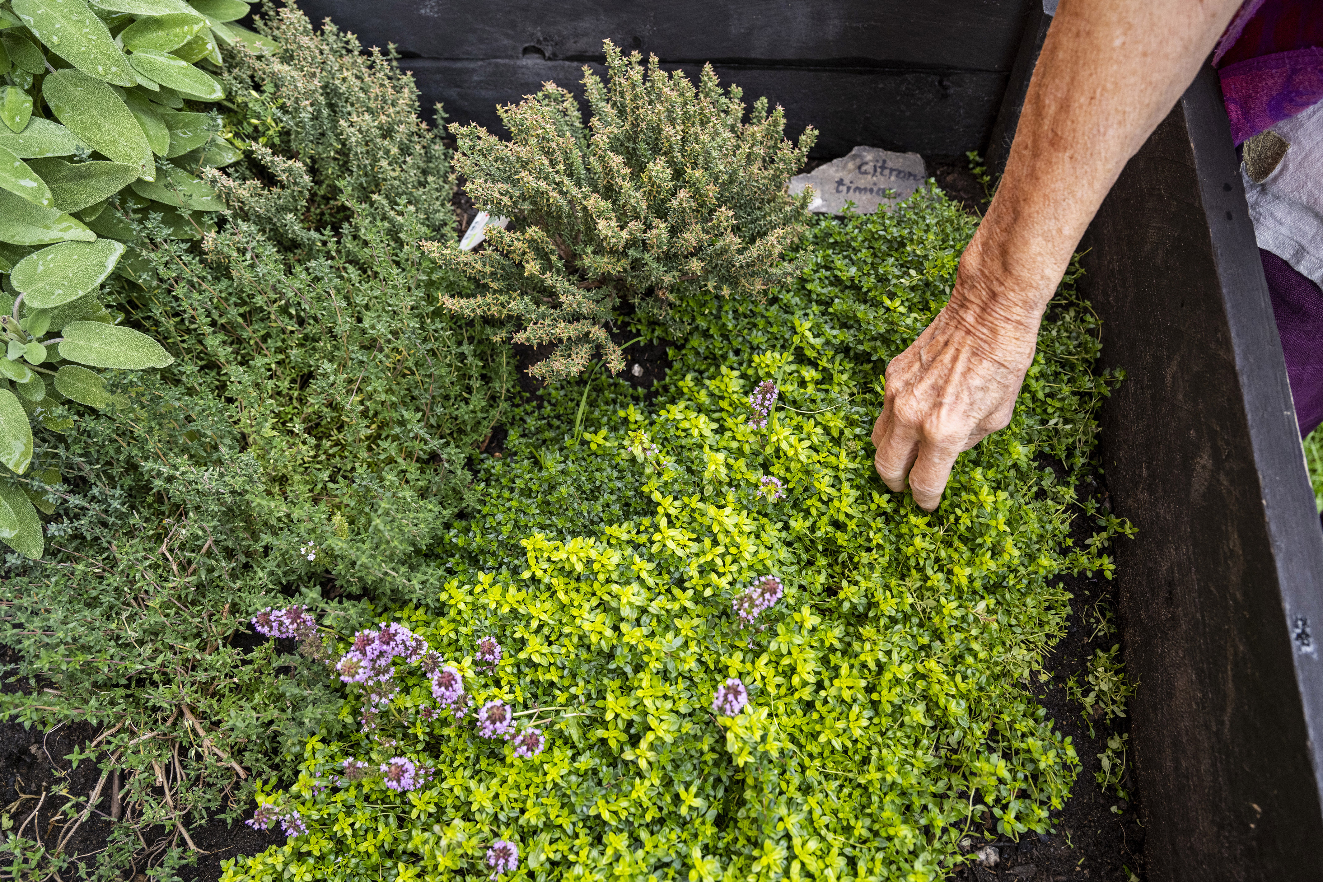 Karen Nrbro 300922 016