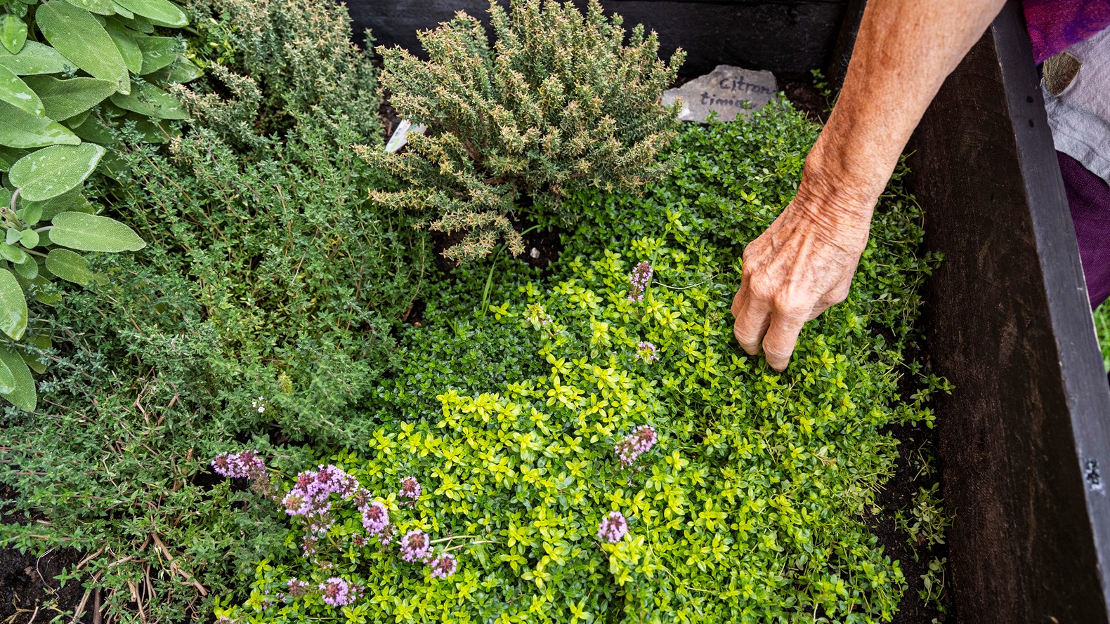 Karen Nrbro 300922 016