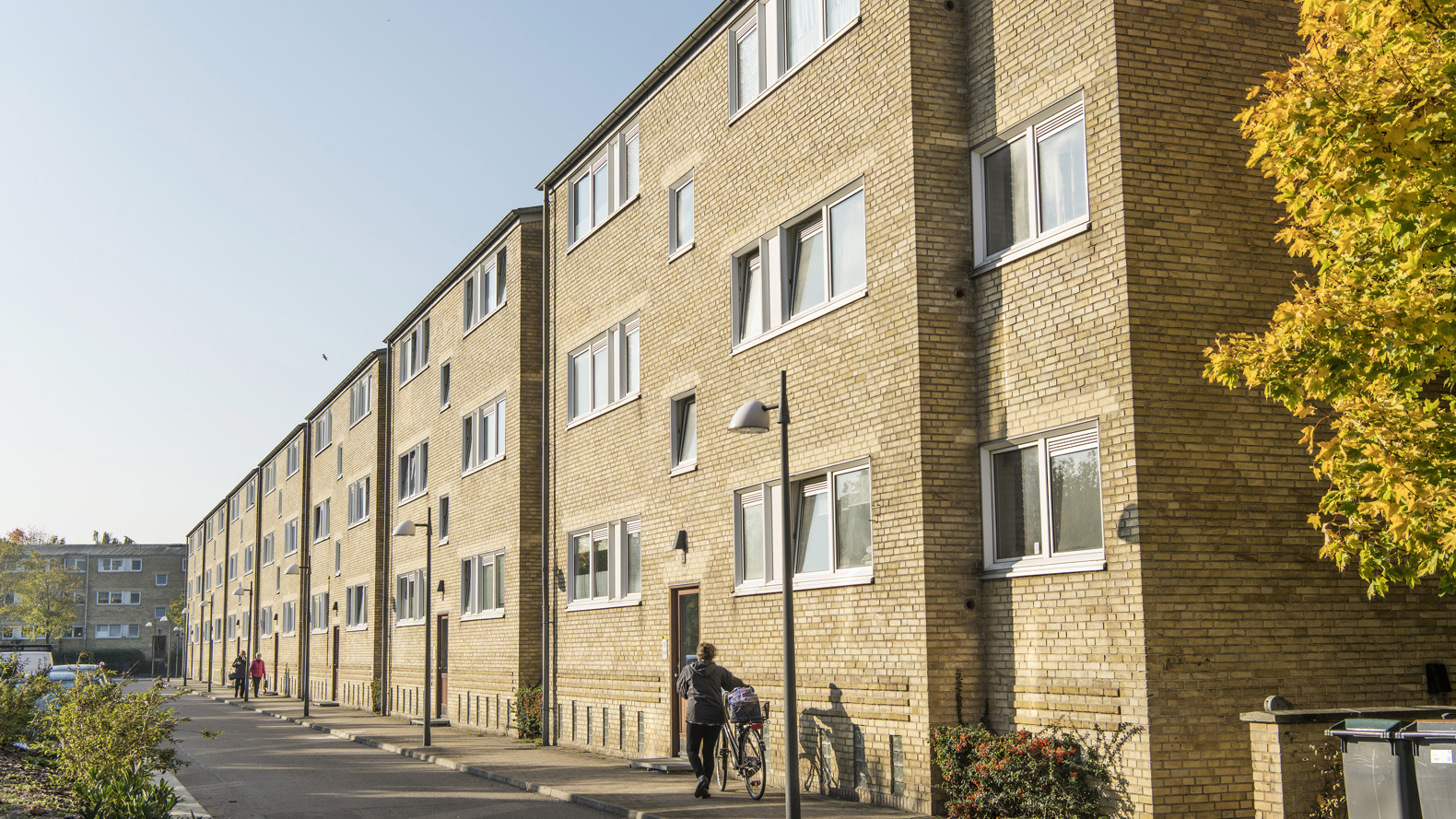 BL Tingbjerg 111018 014