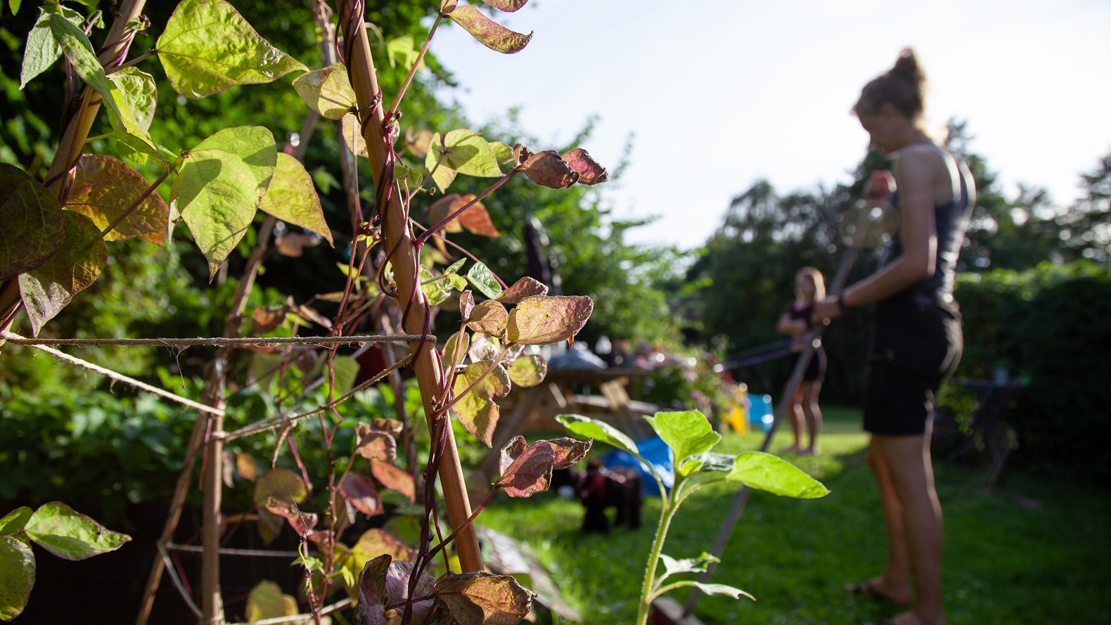 Fælleshave Ved Almene Ungdomsboliger I Hareskov Værløse Andelsboligforening. Foto Hans Damgaard. (2)