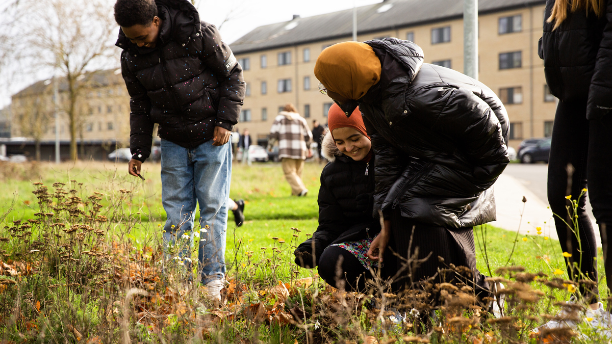 02 BL Alfabo Munkebjerg Kopier