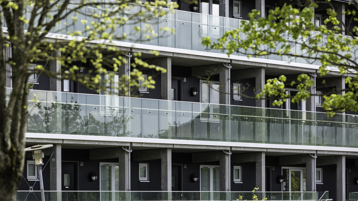 1 Danny Gabay JS Danmark A S (1)