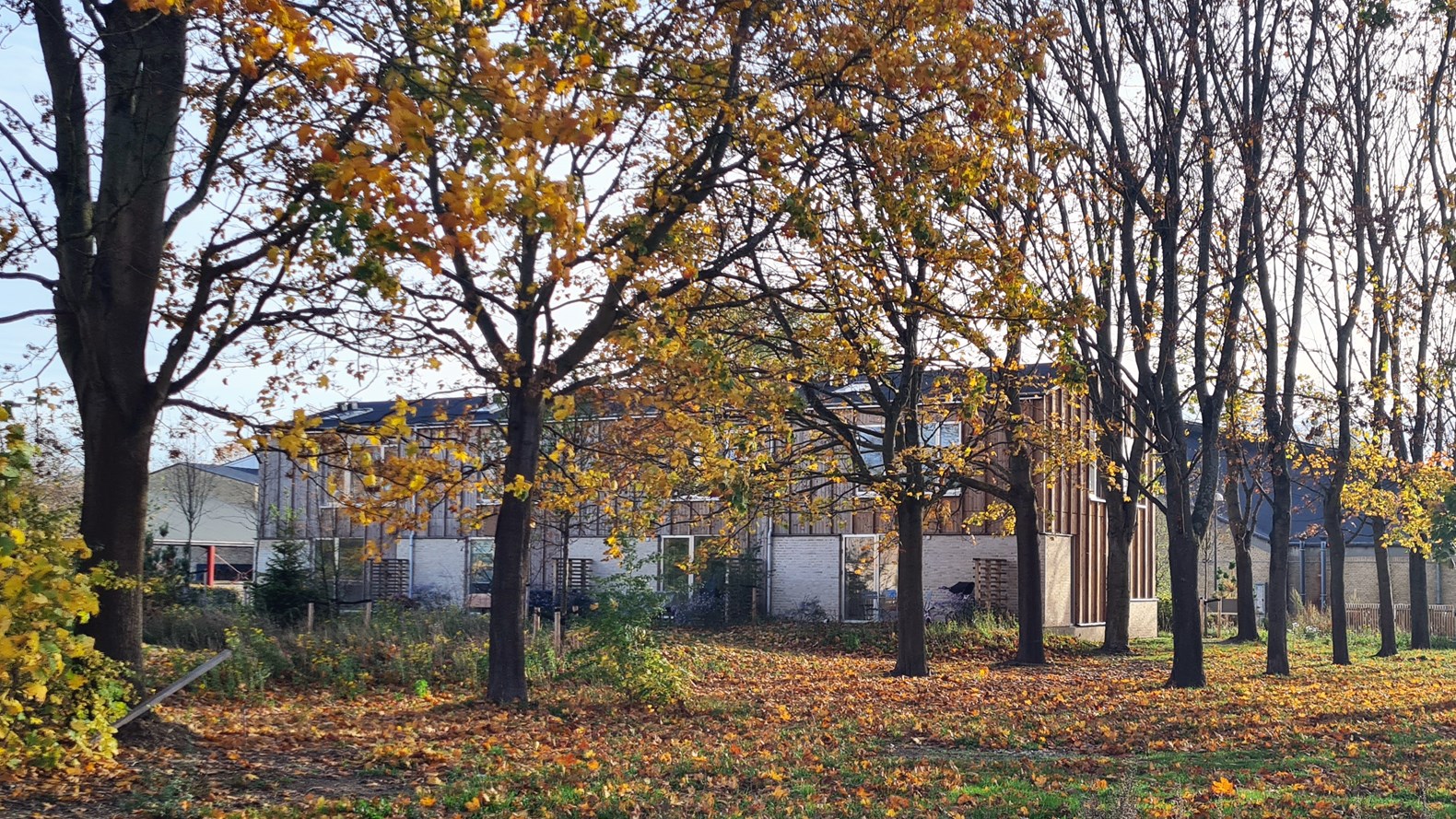 Her Ligger Nye Private Ejerrækkehuse I Et Grønt Område, Der Tilhører Almene Boligorganisationer. Foto Vandkunsten (2)