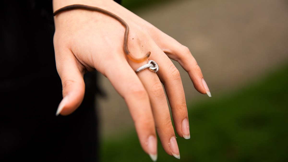 06 BL Alfabo Munkebjerg Kopier