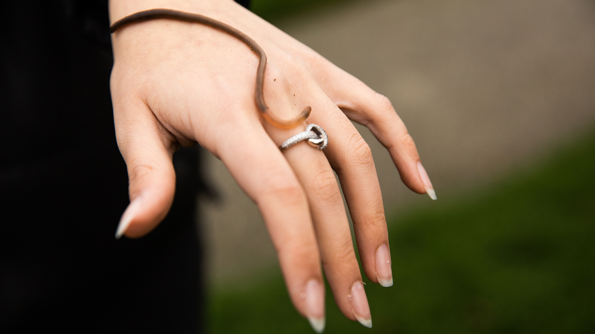 06 BL Alfabo Munkebjerg Kopier