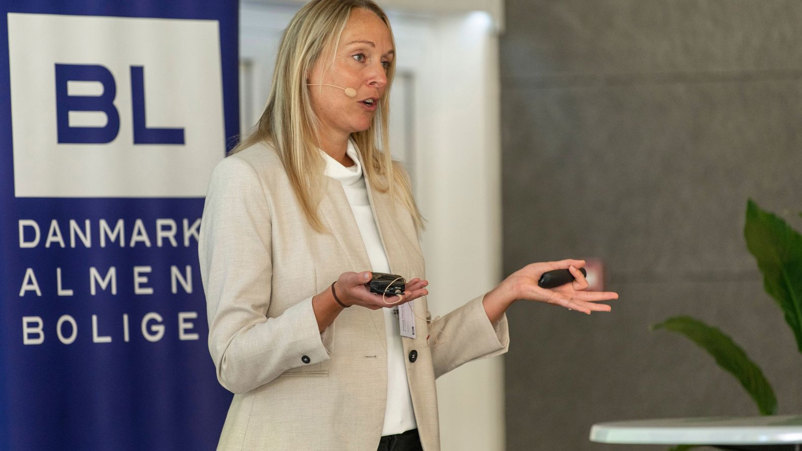 Effektiviseringsolveig