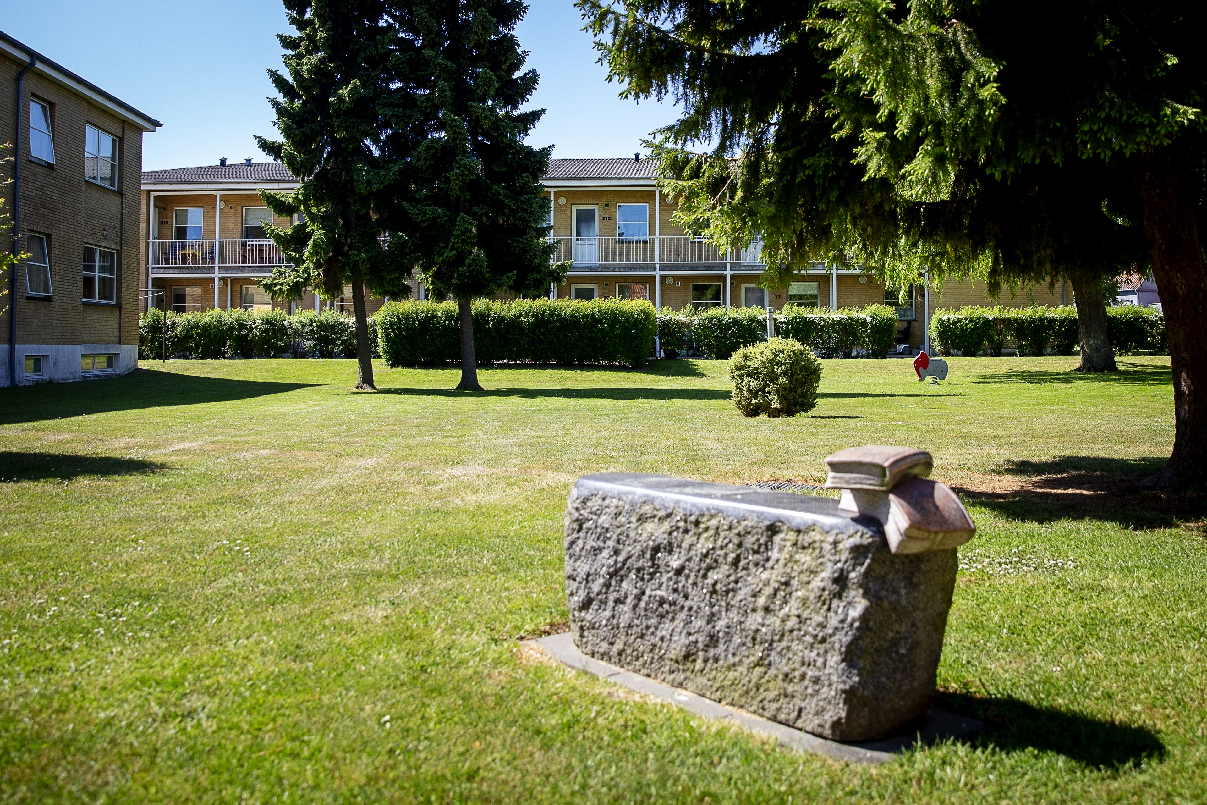 ROSENGÅRDEN Pegasus