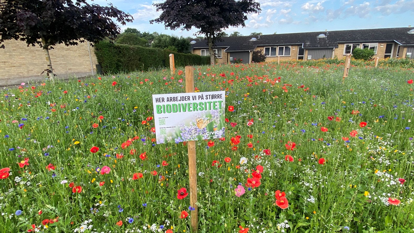 Her Arbejder Vi For Større Biodiversitet. Skilt På En Blomstereng I En Boligafdeling I Civica.