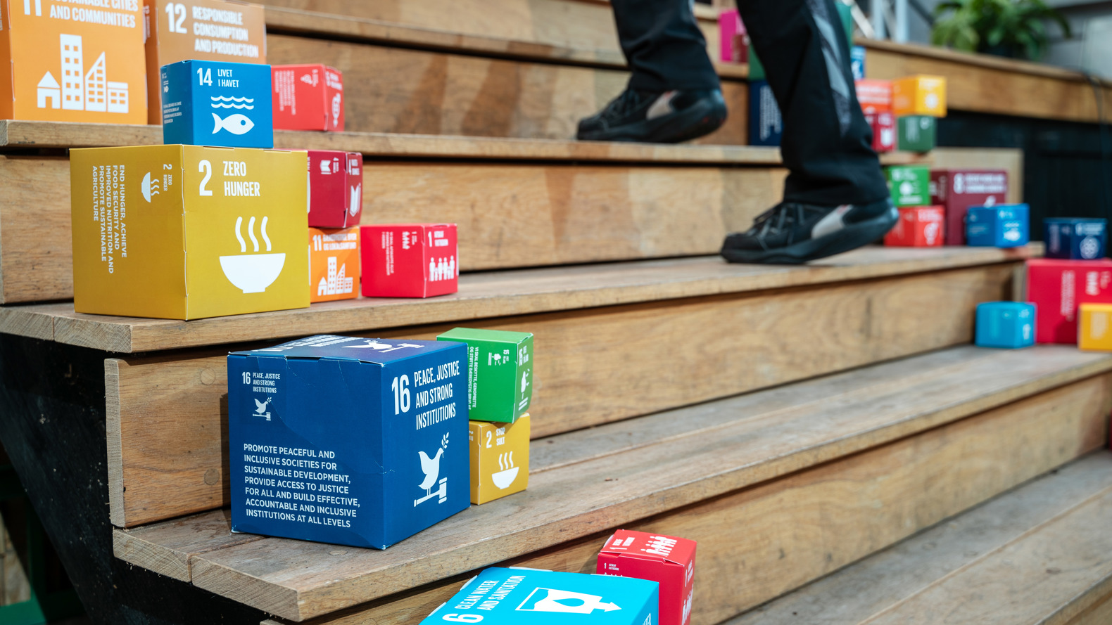 Foto Holger Anderson Altinget Verdensmålugen 81