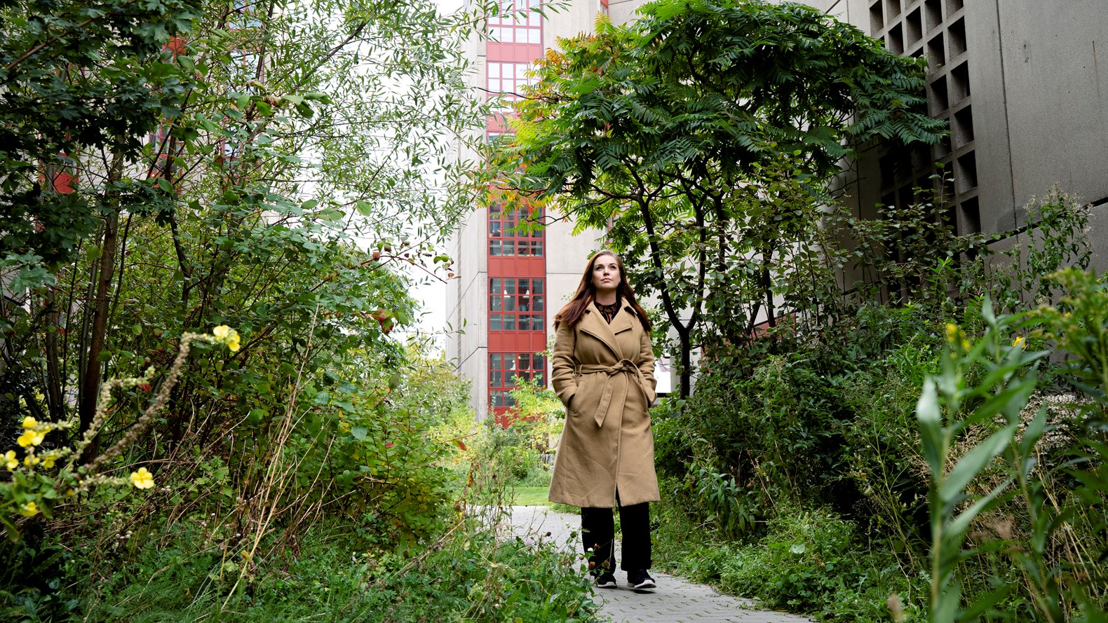 Øresundskollegiet Foto Bund