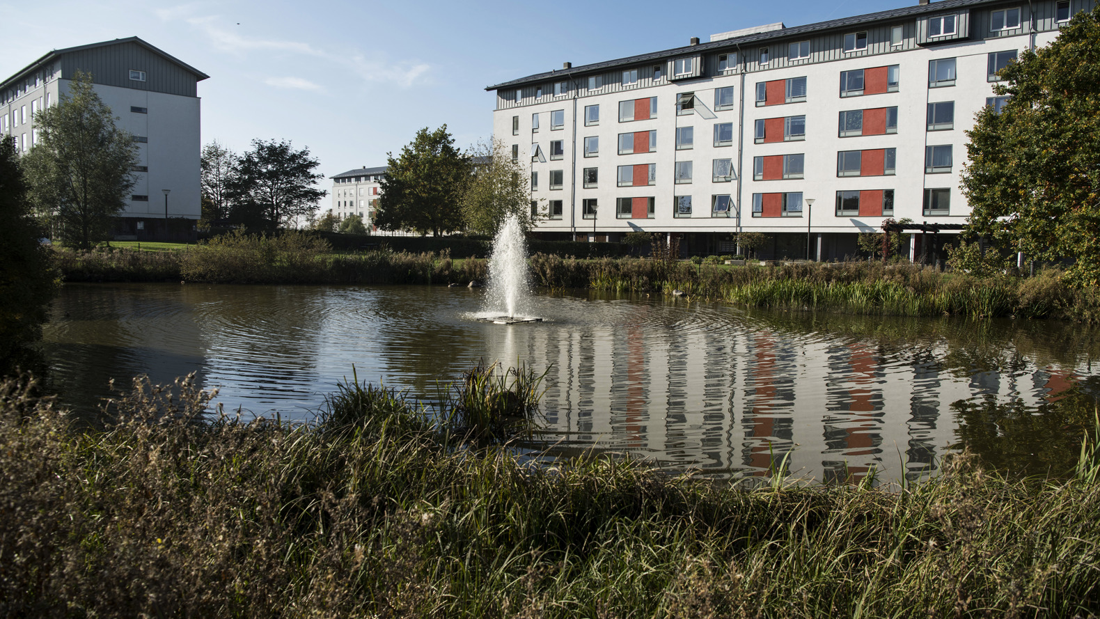 BL Agervang 101018 005