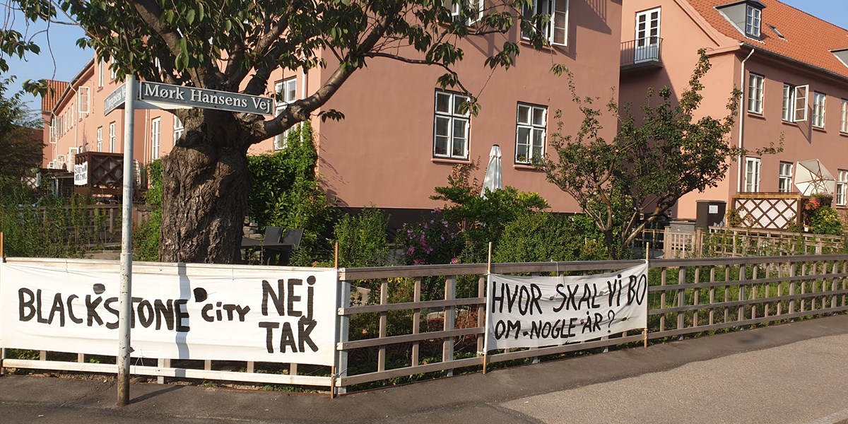 hørbar Forståelse panik Frederiksberg-borgmester: Almene boliger er et værn mod Blackstone