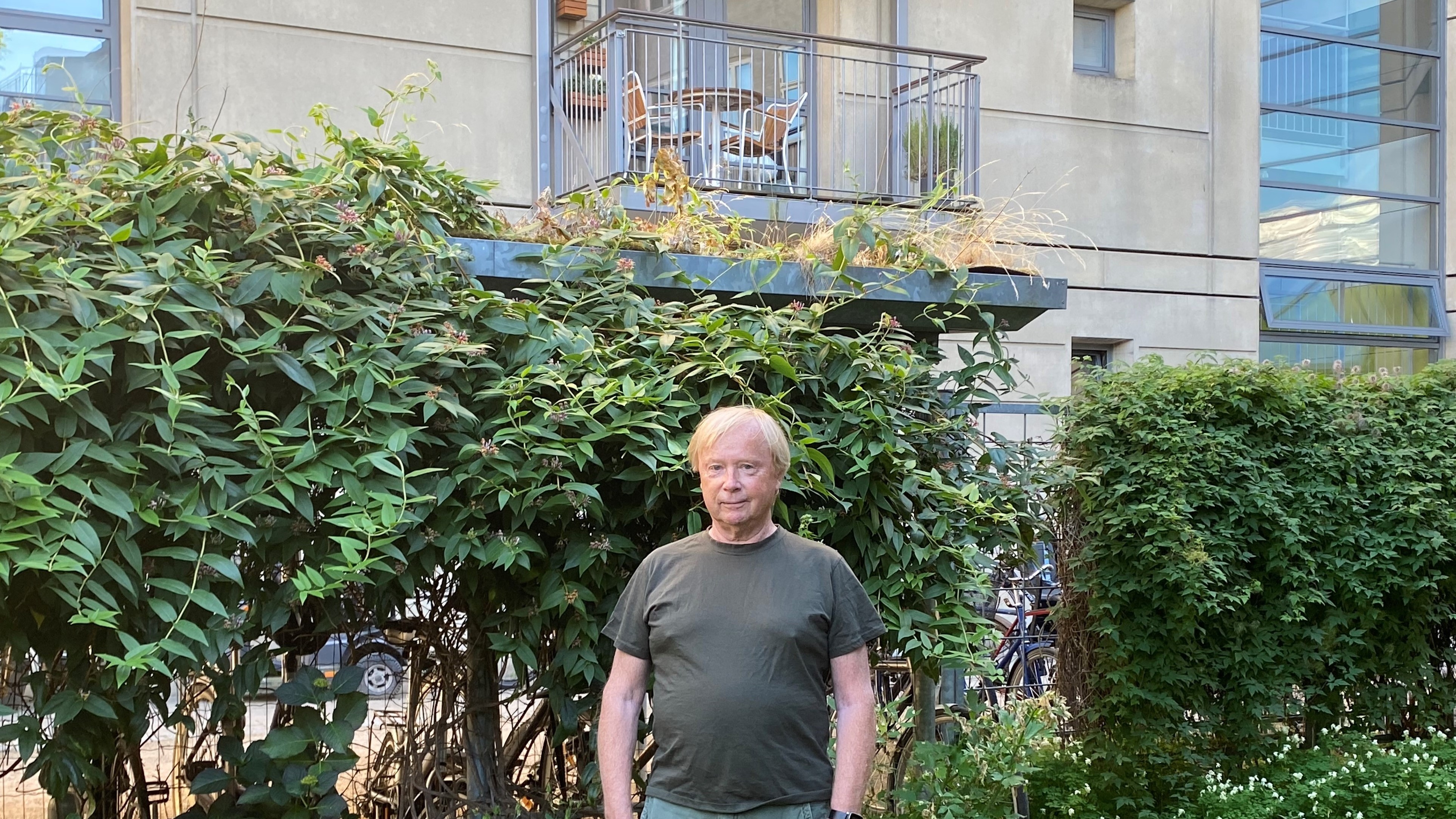 Steen Egeberg 3B Beskåret