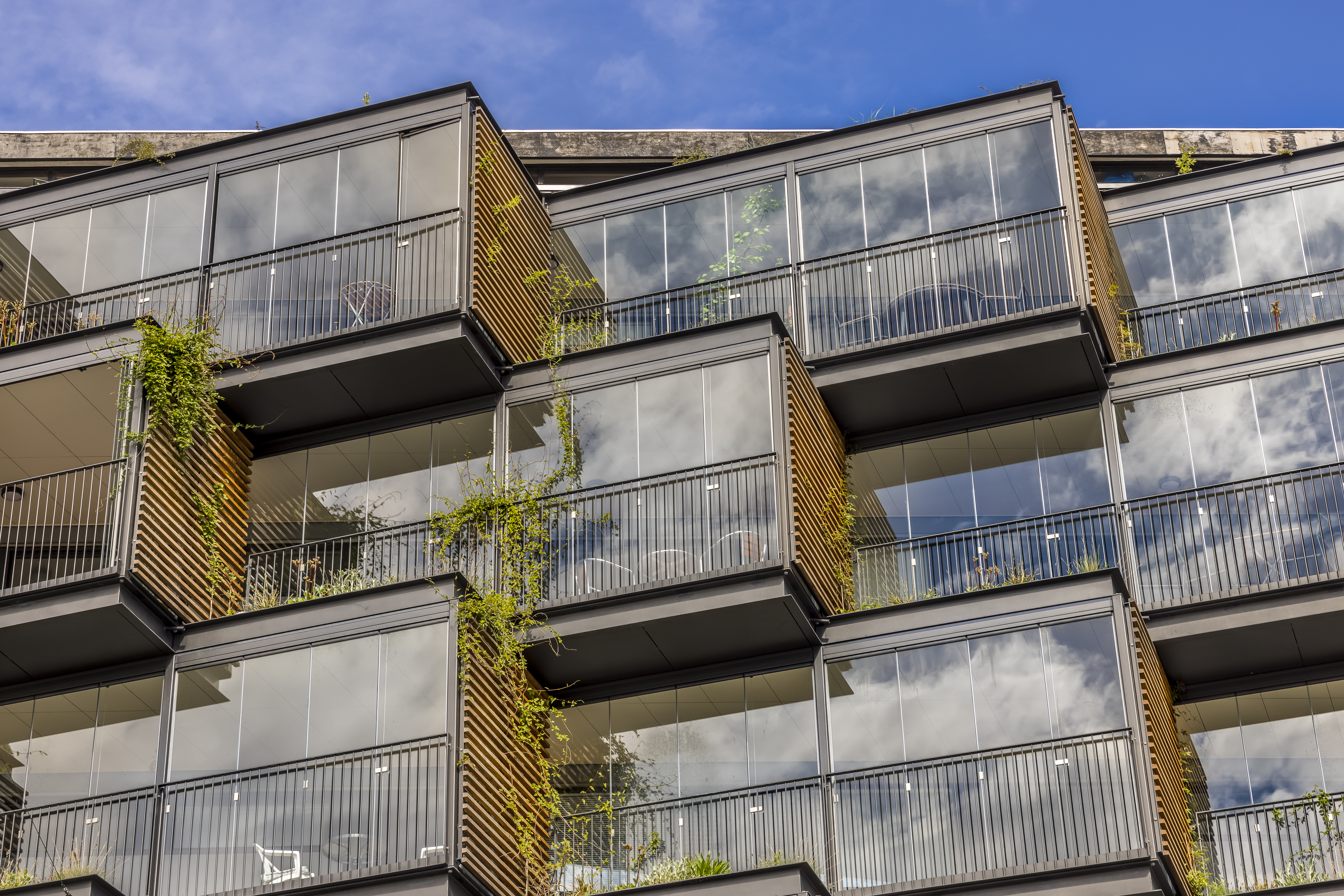 A48d8adb 8Aa4 4Bd6 A5a3 Fc9deb18cb49