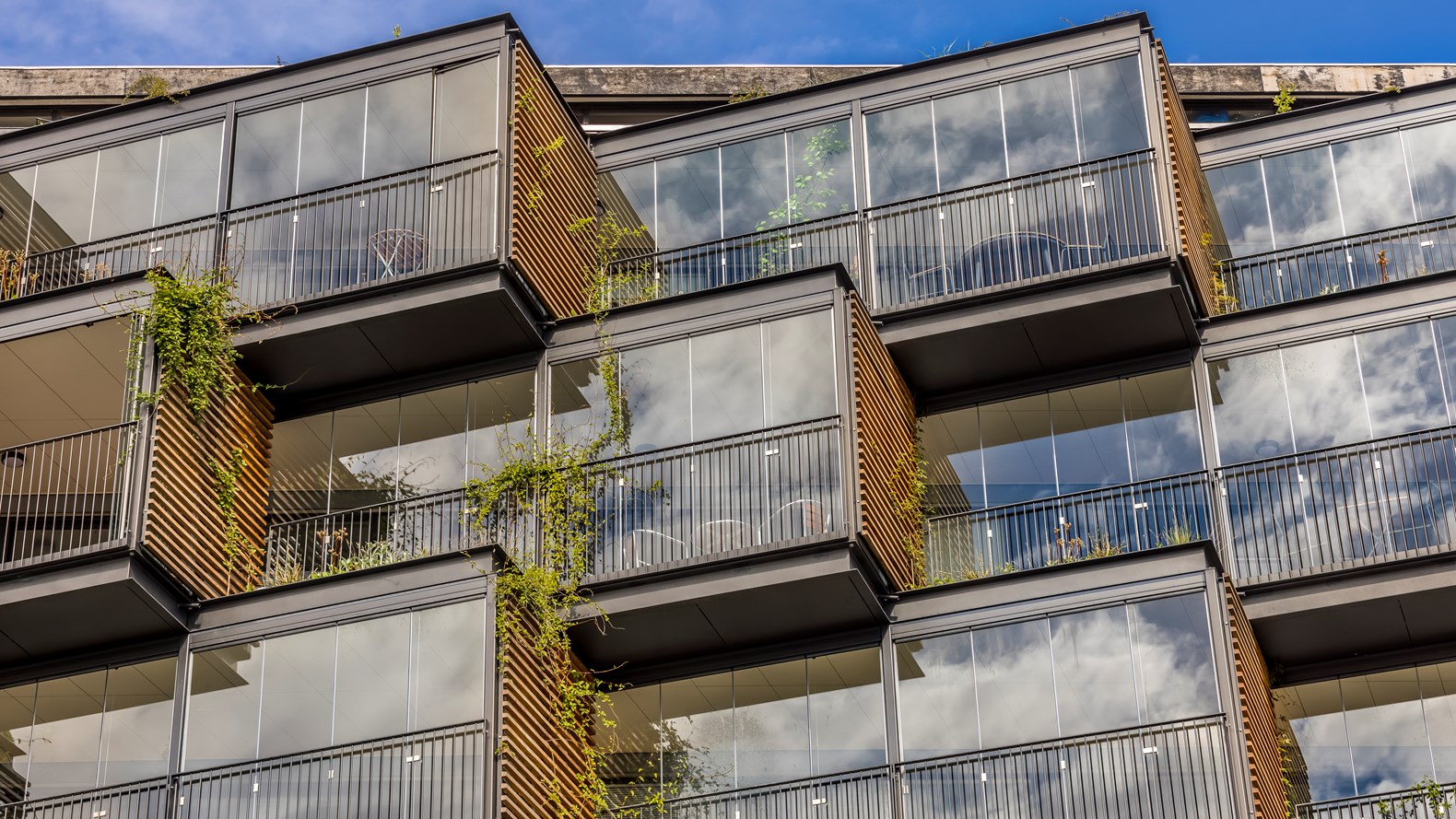 A48d8adb 8Aa4 4Bd6 A5a3 Fc9deb18cb49