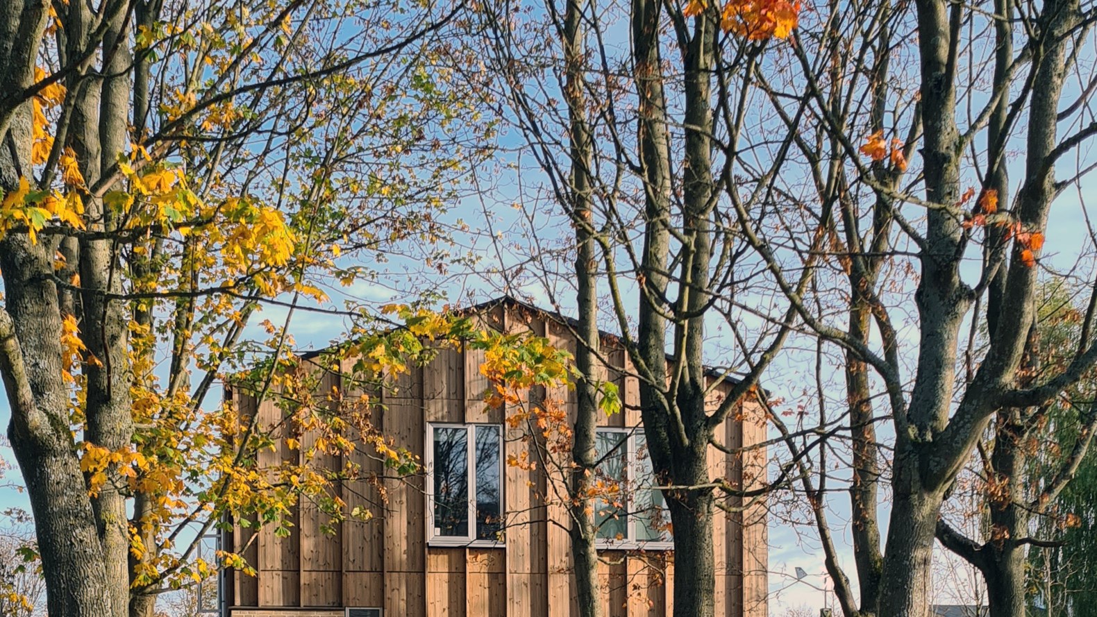 Her Ligger Nye Private Ejerrækkehuse I Et Grønt Område, Der Tilhører Almene Boligorganisationer. Foto Vandkunsten