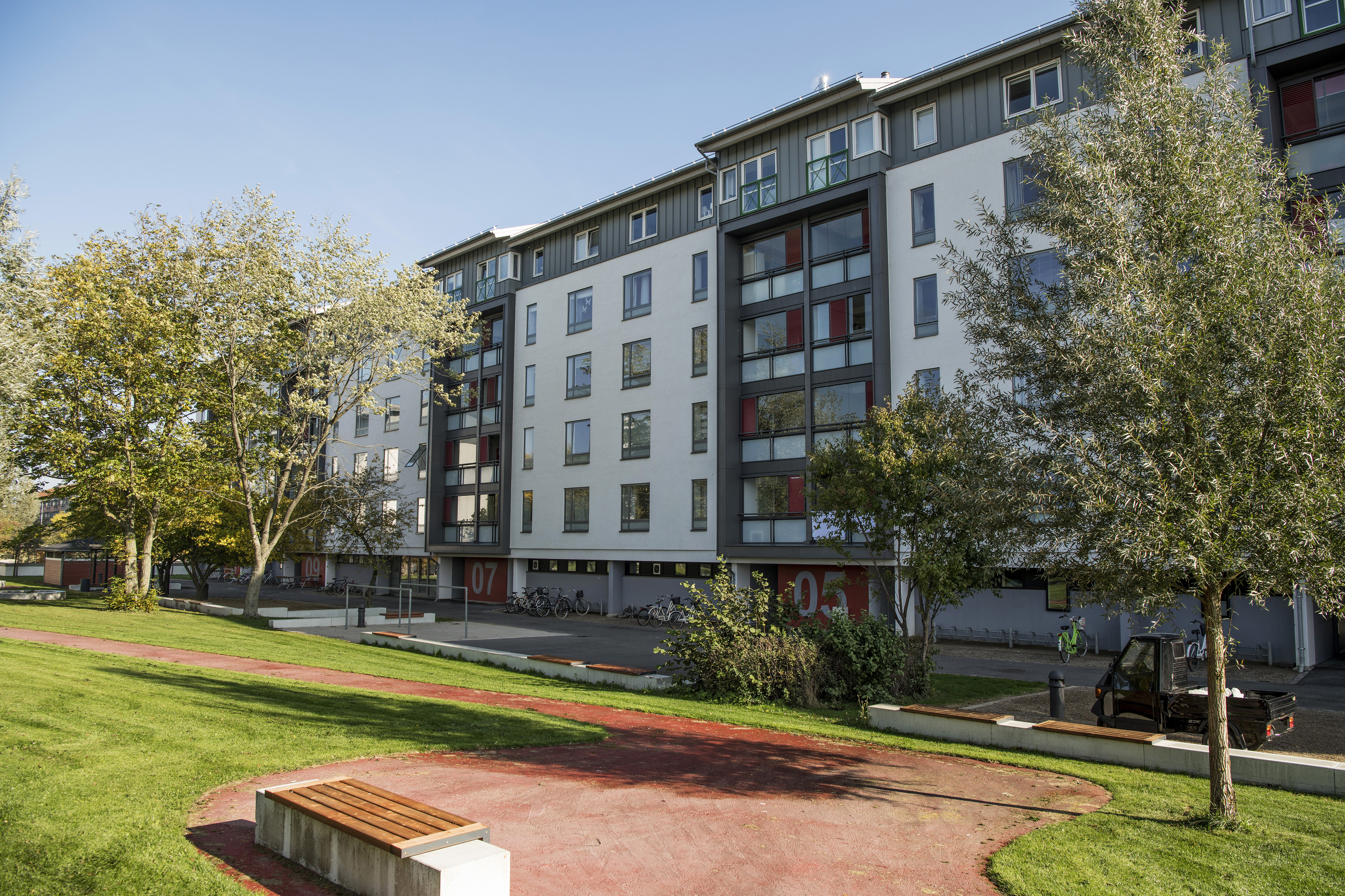 BL Agervang 101018 015