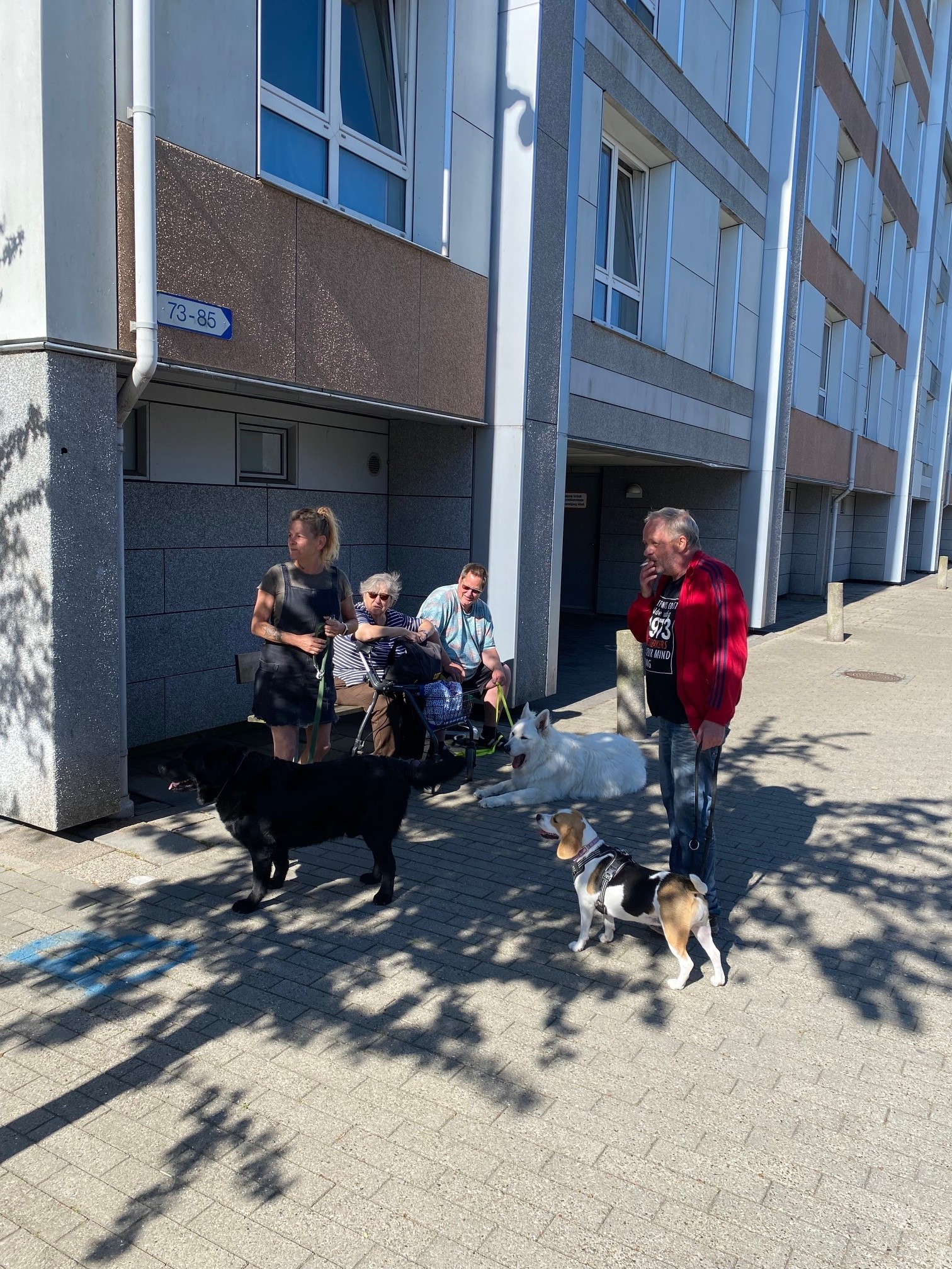 Hundetræf Karlemoseparken