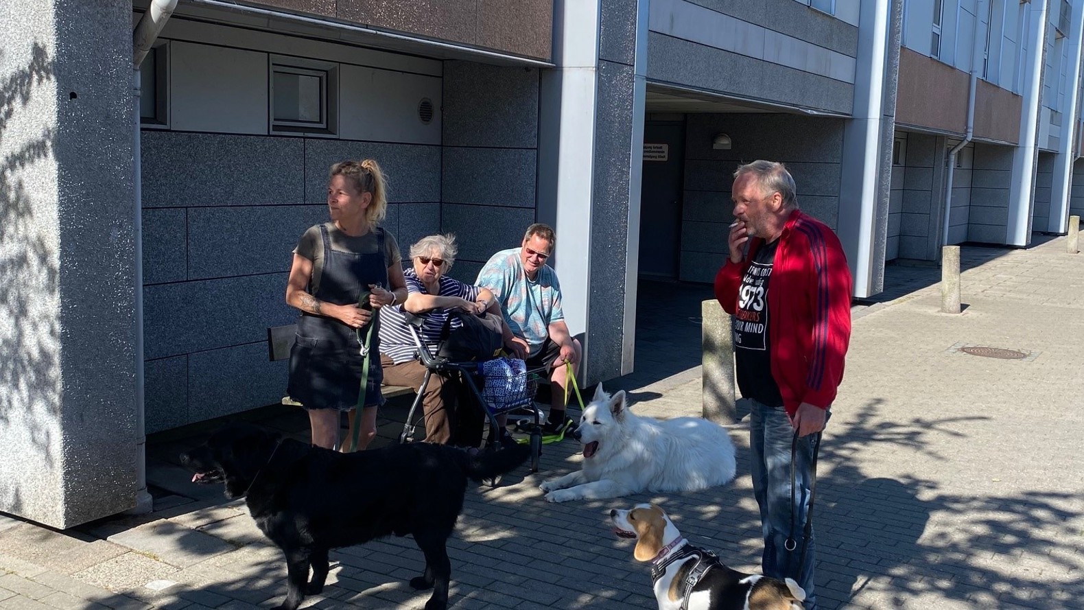 Hundetræf Karlemoseparken