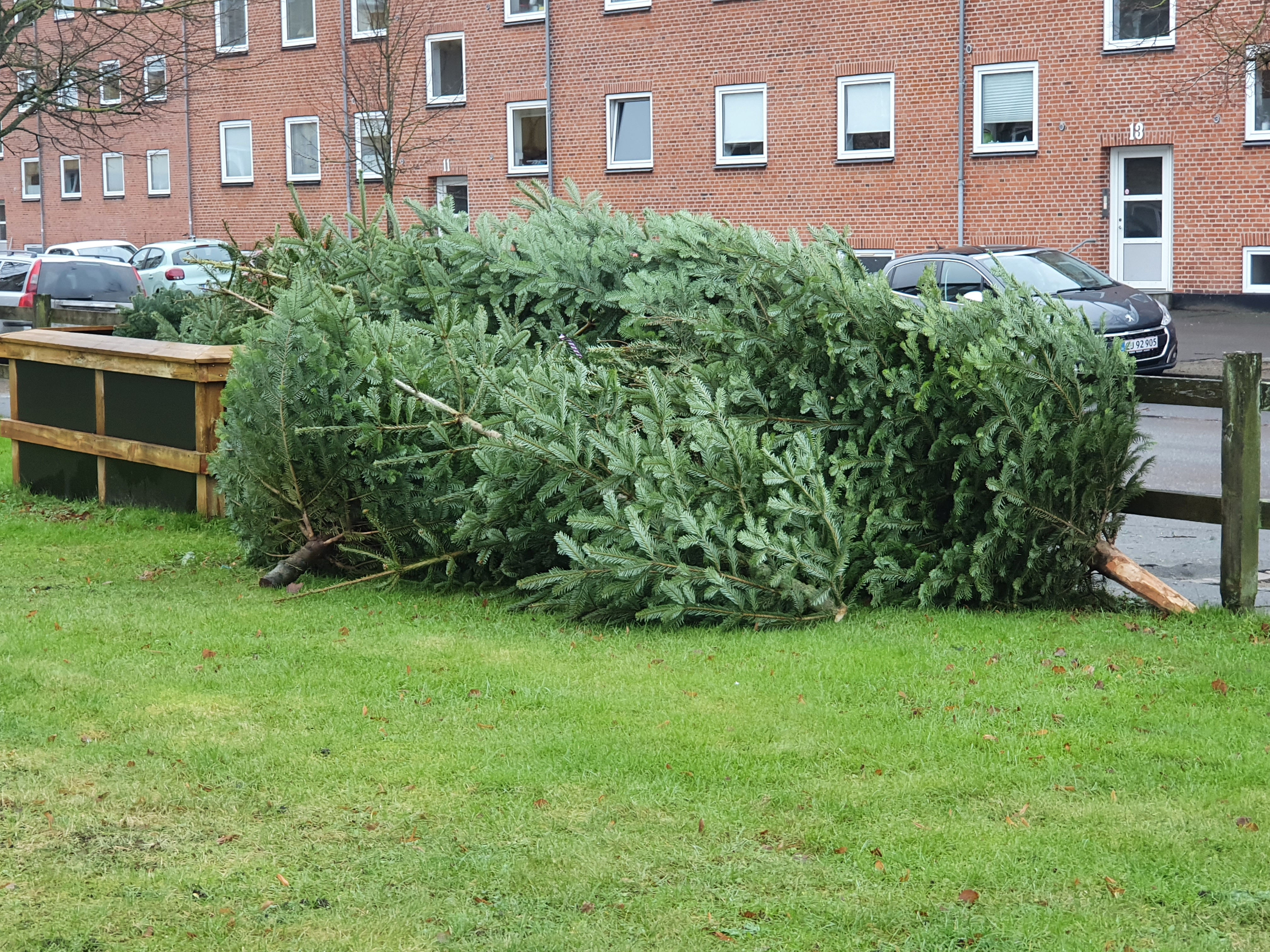 Juletræer Alabu Bolig Råt&Godt