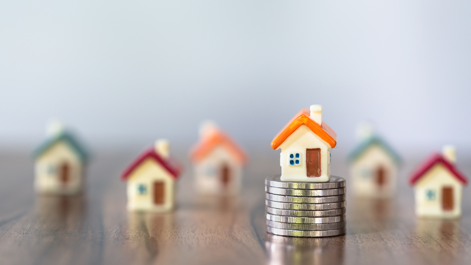 COLOURBOX47269318 (1)