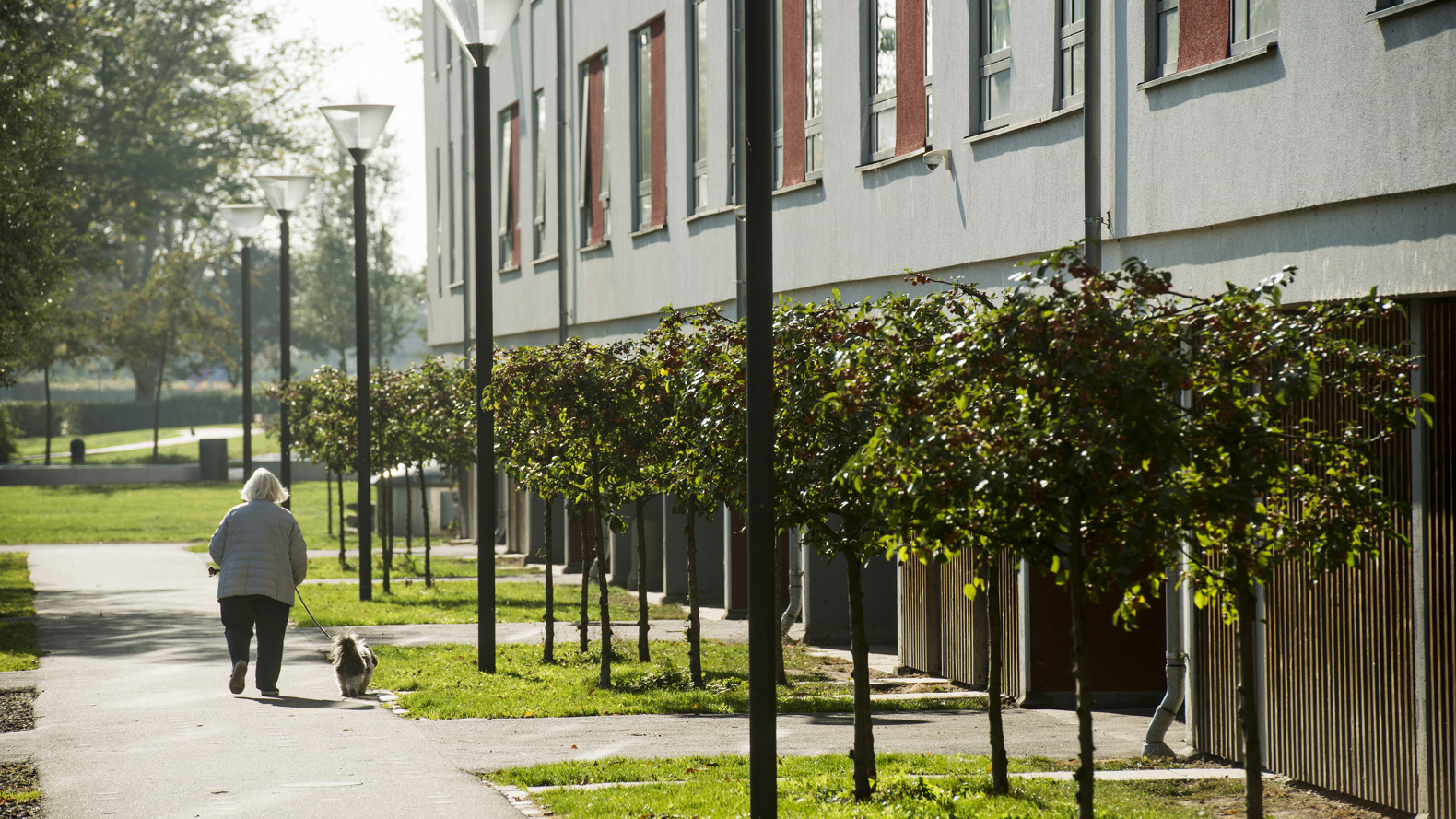 BL Agervang 101018 014