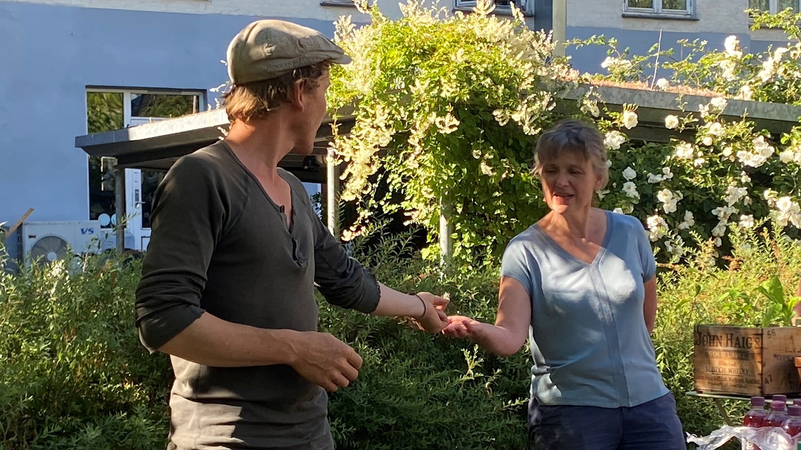 Frank Giver Frø Til Marianne