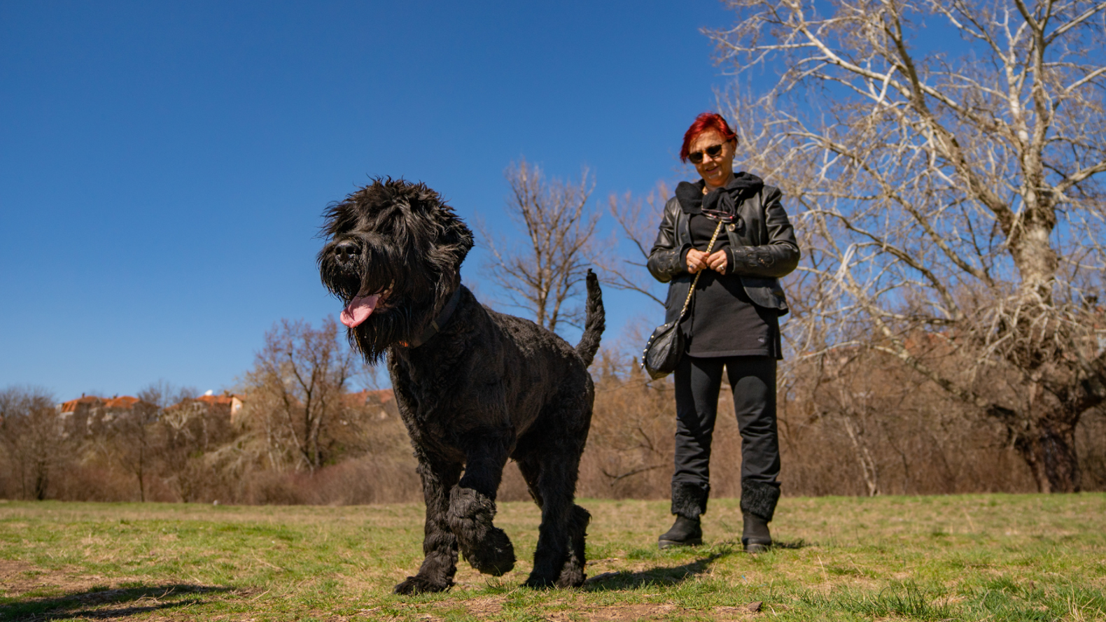 Artikel Billeder (10) (1)