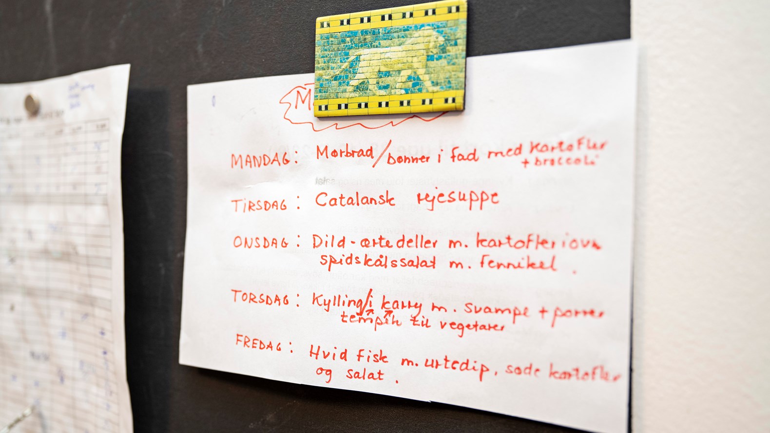 Karen Nrbro 300922 001