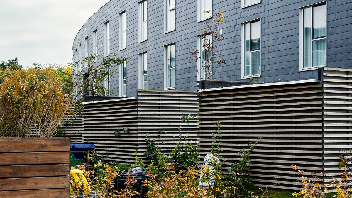 STAMERS KONTOR IMG 1824