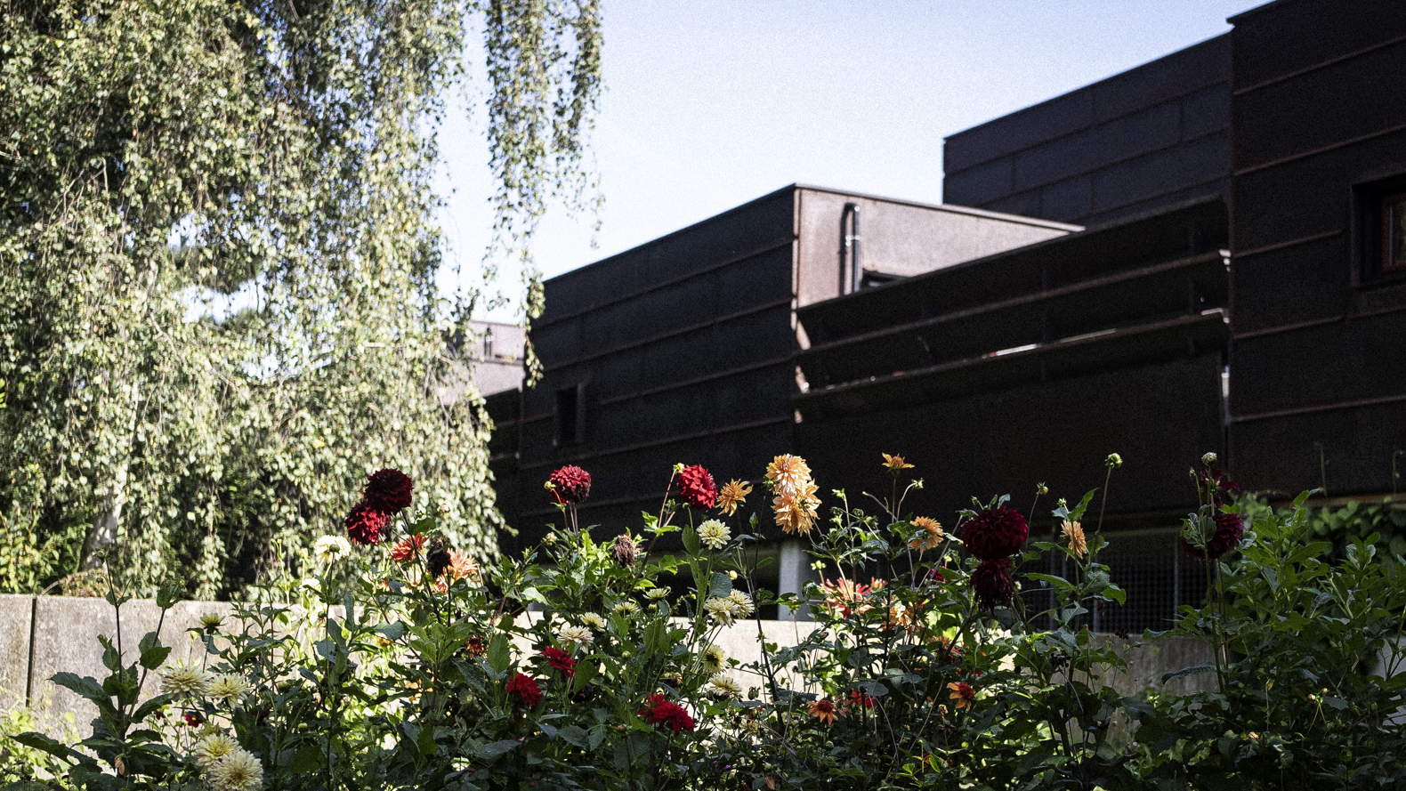 Farum Midtpunkt Anna Munk Andreas Hansen (14)