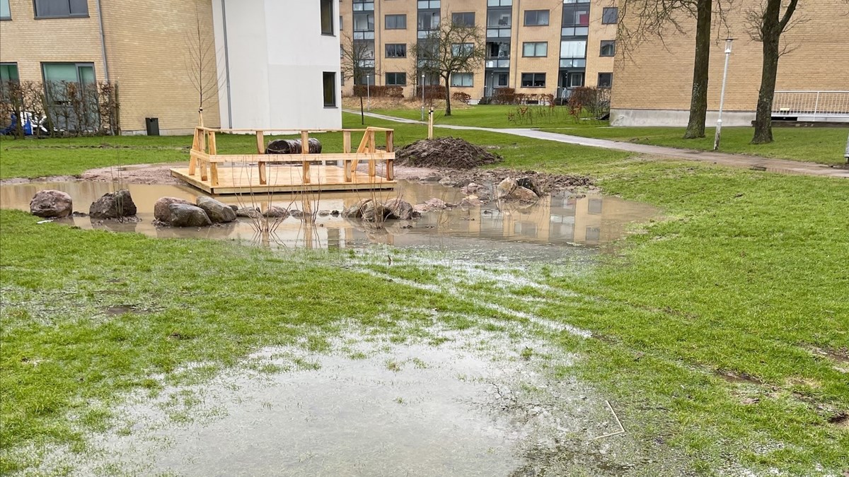 Søen Fyldt Med Vand Billede Til Infoskilt