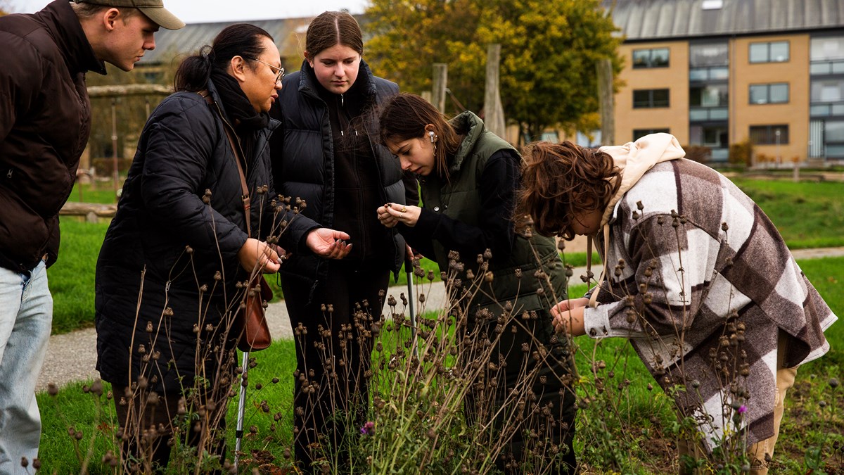 01 BL Alfabo Munkebjerg Kopier